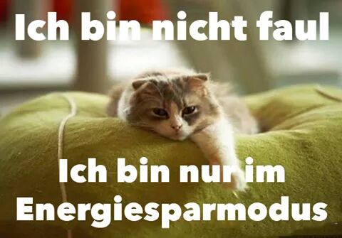 Genau so ist es