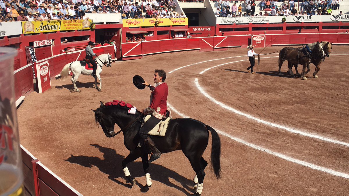 gracedeleonn's tweet photo. Preciosos caballos!! @pablohermosonet https://t.co/j9dlhs5cwF