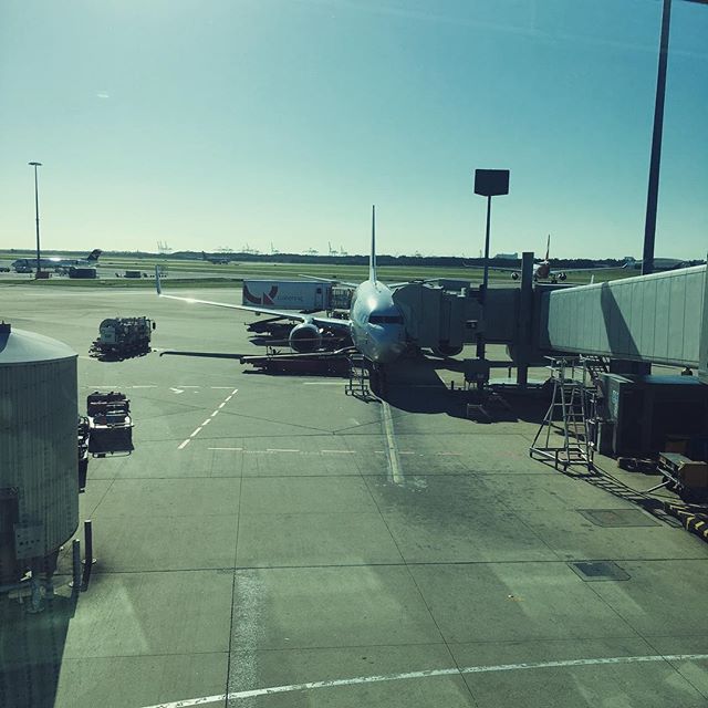 Billy Geddes tweet media