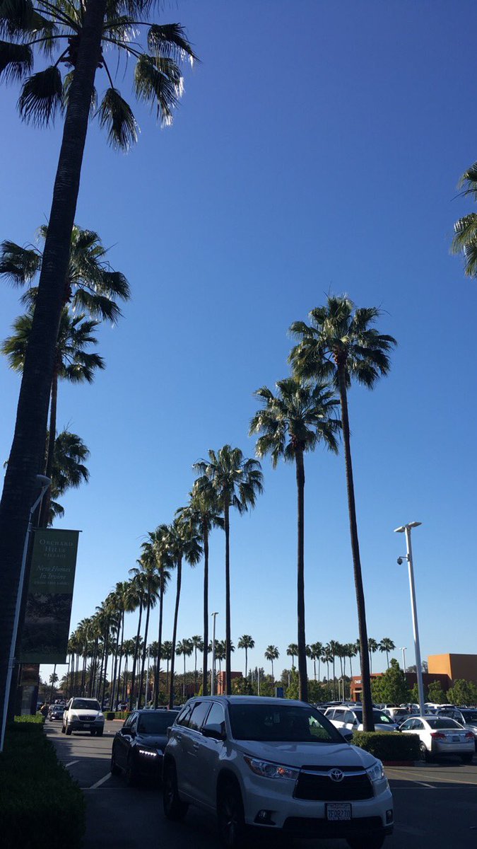 peachwinks's tweet photo. pretty day☀️☀️☀️☀️ https://t.co/AmzZUl5UNN