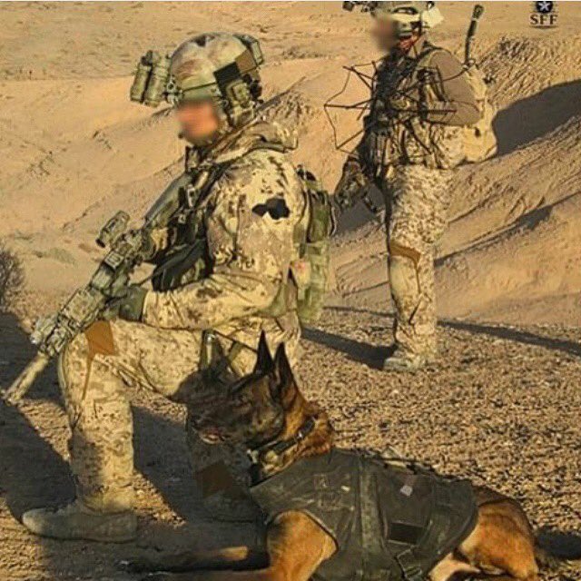 Navy SEAL Frog Men (NavySEALfrogmen) Twitter