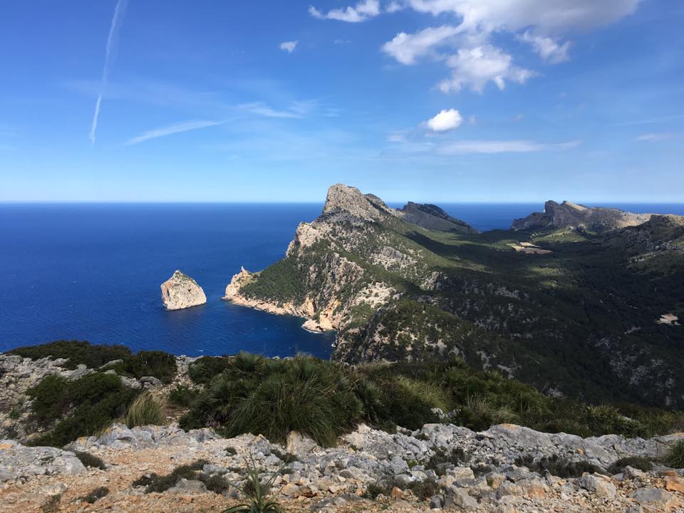 tridynamic's tweet photo. Awesome first day on @willnewbs Mallorca Tri Camp. Great pics thanks Chris G! https://t.co/DSuA8KtND5