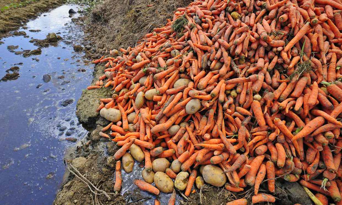 Throwing away less food could help mitigate #climatechange grnpc.org/IgN1c  via <a href="/Greenpeace/">Greenpeace International</a>