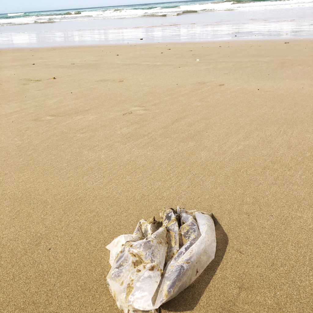 Rebecca7Maddern's tweet image. Don't litter our beaches ... Please. #makesmemad
