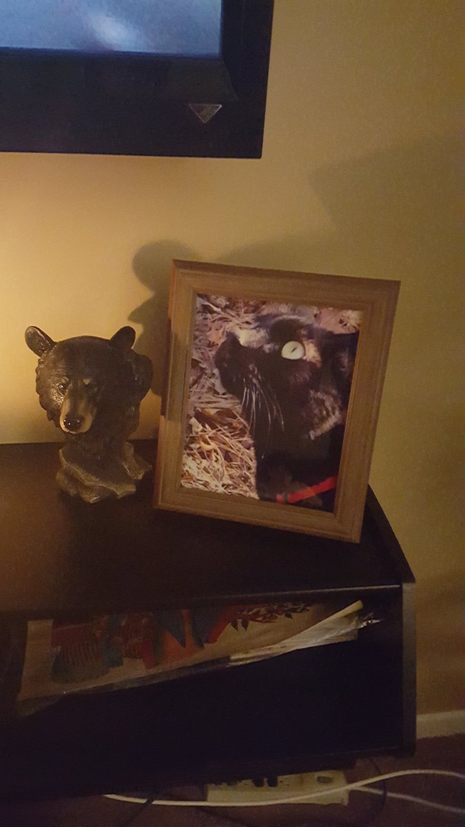 Junebug2482's tweet photo. I miss you little bear with all of my heart. U were the only living breathing soul on this planet that knew me 100% https://t.co/L3QKyS2LAO