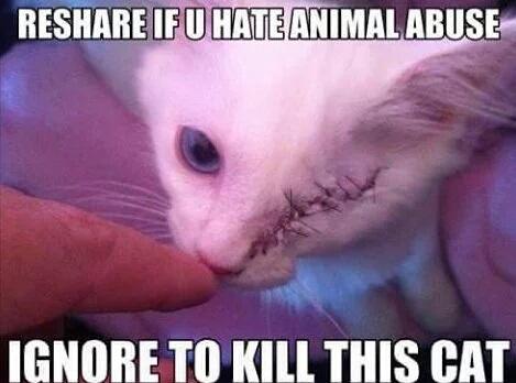 your_sexy_snake's tweet image. OMFG HOW COULD SOMEONE DO THIS! 😧👿