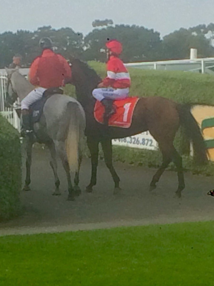 tjpracing's tweet photo. The enigma Saint Jimmy race 5 @MRCTrackNews Mornington. @stelmo_racing @arrexalexxa https://t.co/RZFgyKXF6A