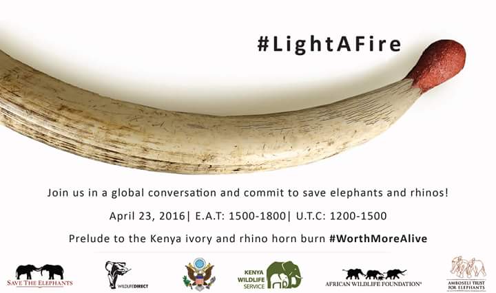 paulakahumbu's tweet image. Will u b the spark 2 # LightsaFIRE 4 Elephants #WorthMoreAlive .join us on Apr 23rd 2 learn &amp;amp; share ur ideas RT