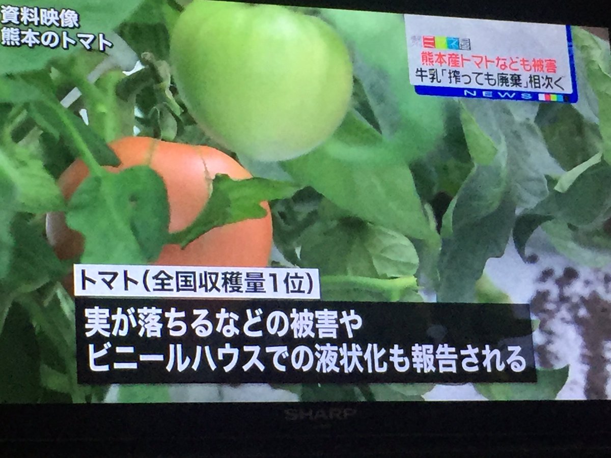 林 志行 熊本地震 日本テレビ ミヤネ屋 トマトは 液状化や実が落ちる被害 牛乳は 停電や道路寸断で廃棄 2日で12トン