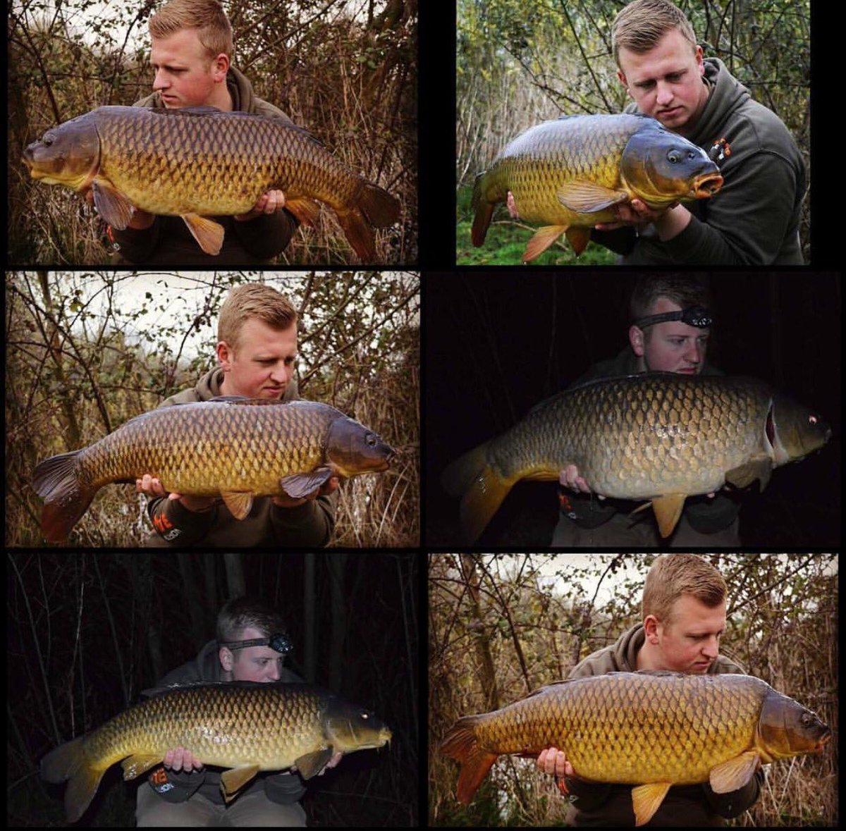 NorthEastBaits tweet picture