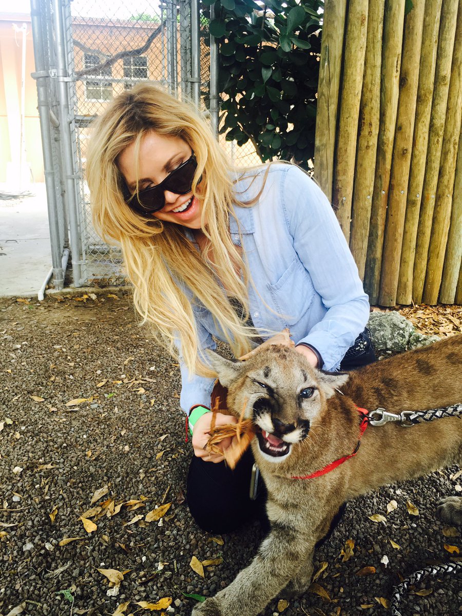 livmorluv's tweet photo. 👁❤️🐯 support the kitties @ZWFMiami #livmor #livmorluv #feline #felinelove #wildanimals #rescue #foundation #giveback https://t.co/WIiXdRLZOi