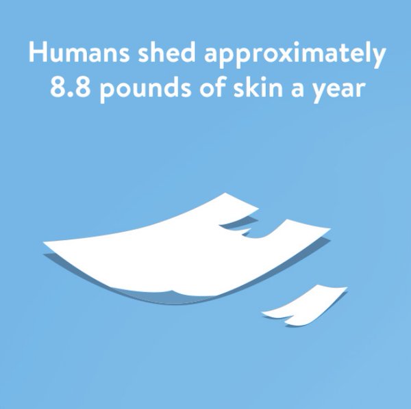 evolveskinreju's tweet image. Did You Know..!!!

#SkinFact