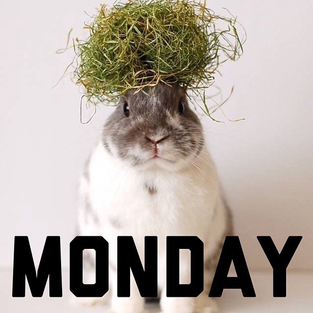 Map_My_Future's tweet photo. Mondays Made Better with #MapMyFuture because #YourFutureIsYours https://t.co/dqE3L5lMaP