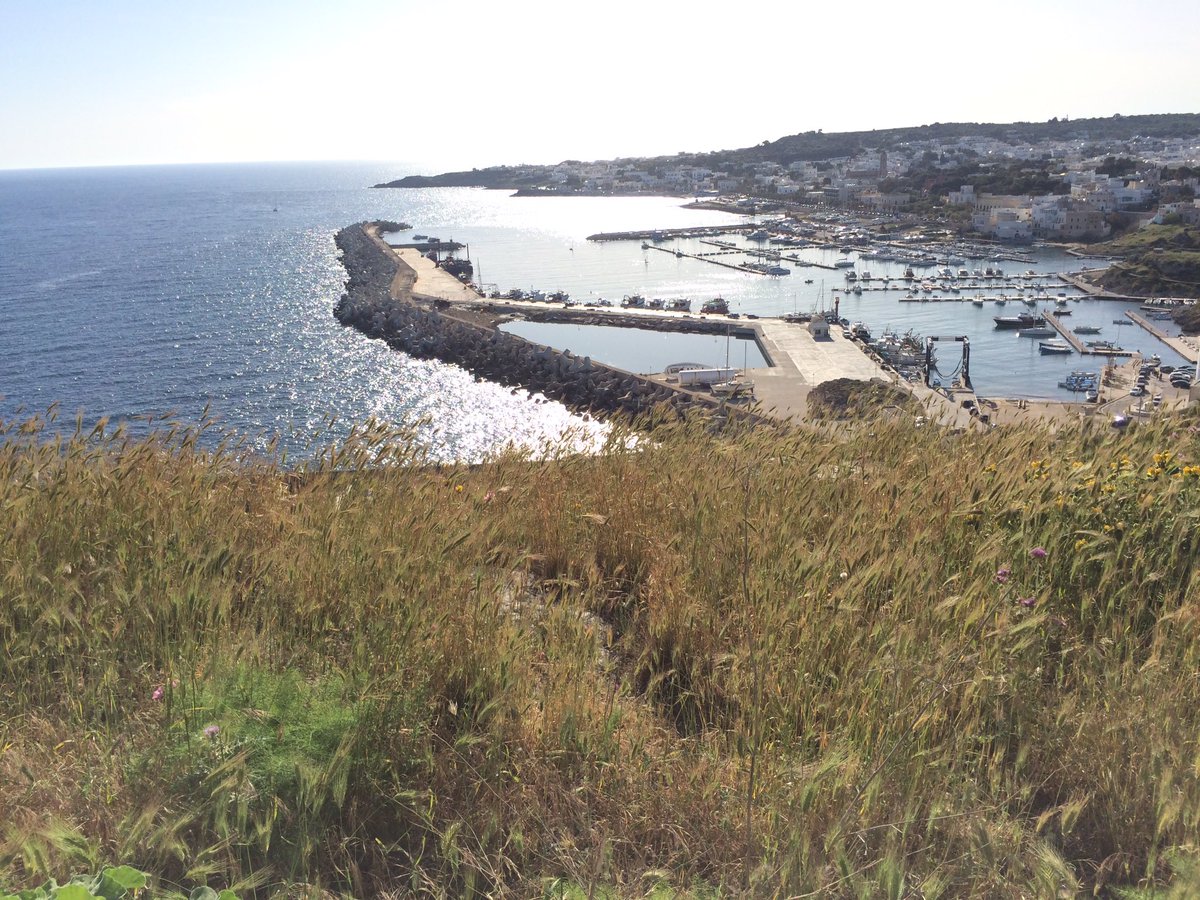 ExploringPuglia's tweet photo. #buongiorno da #leuca #finibusterrae #salento #puglia #exploring #exploringpuglia https://t.co/lGQeS4S7C8