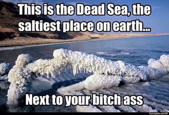 SunkCostFallacy's tweet image. 