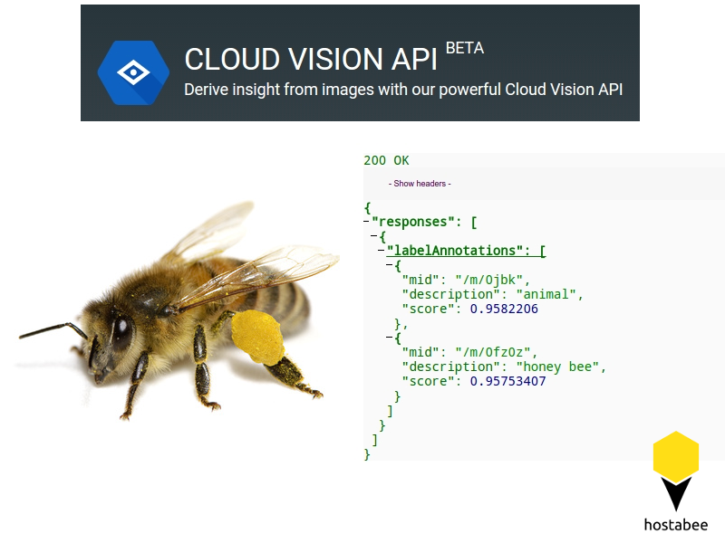 maxime_mularz's tweet image. #googleVisionApi is awesome and will be helpful for #beekeeping, fyi #bee score is .96  @googlecloud @hostabee #iot