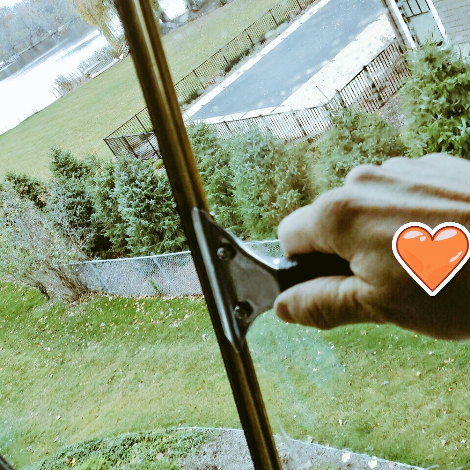 windowguy767's tweet image. 