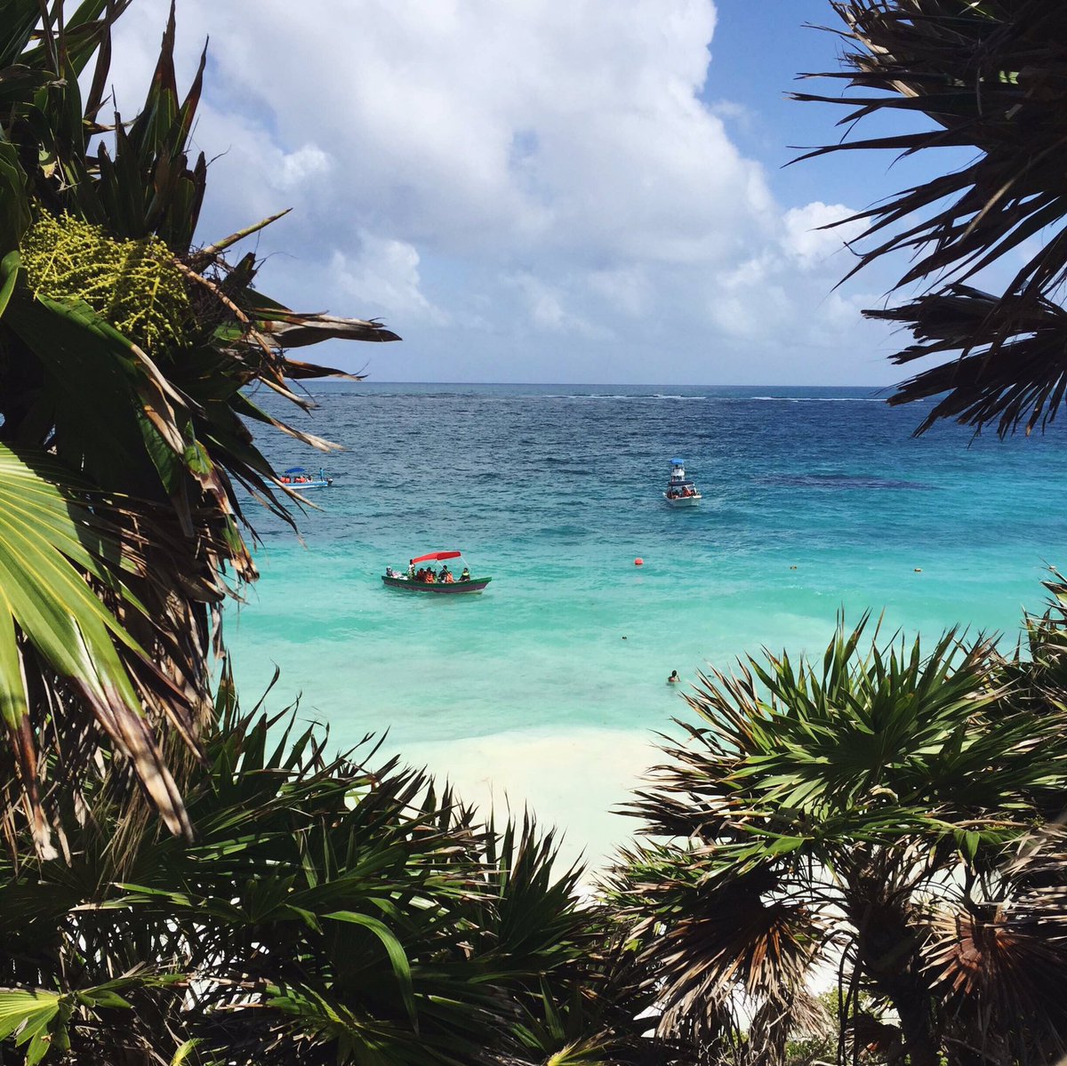 Nifty250_'s tweet photo. This is definitely one of our fav #NiftyWeekendTakeover's ever - Bryni showed us around Mexico! All on Instagram 👀 https://t.co/OuZo1x6boB