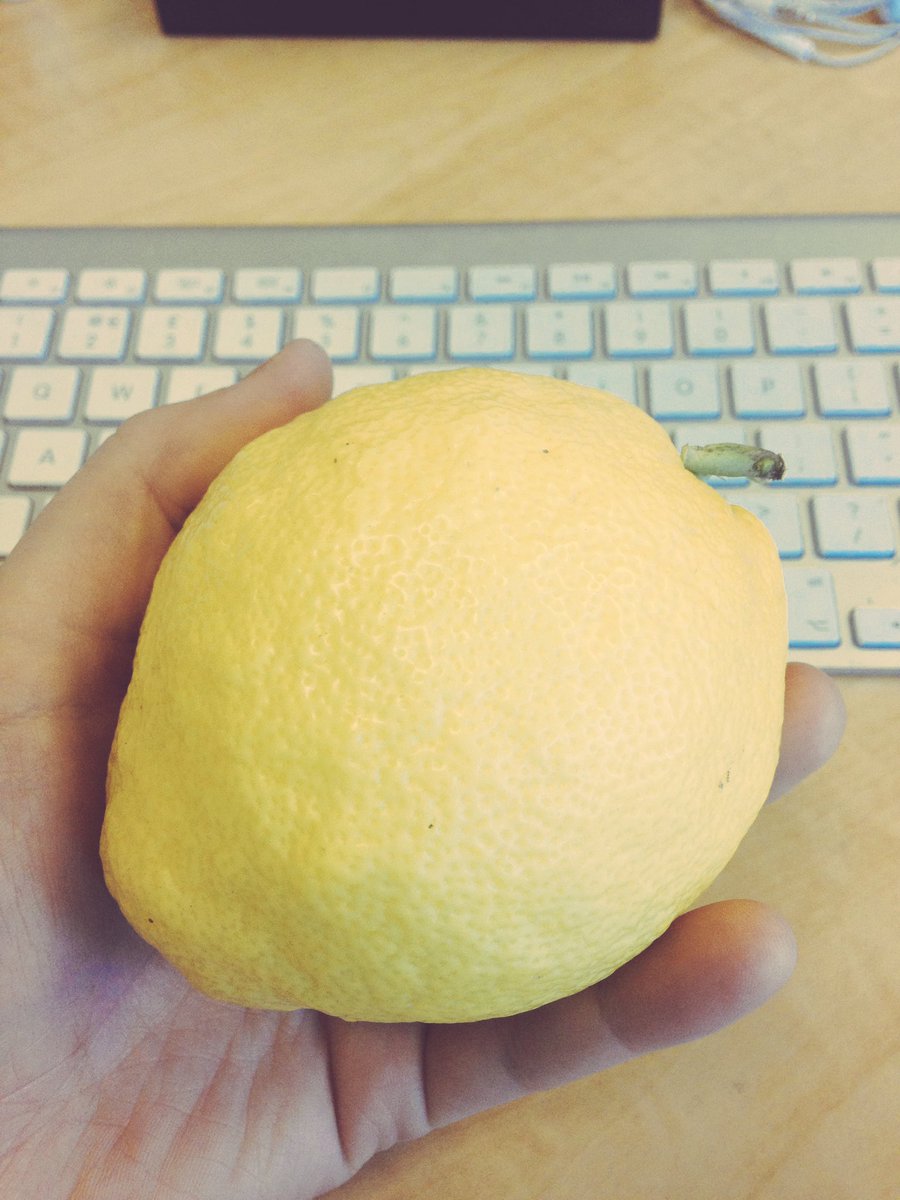hellobirddesign's tweet image. Amazing Italian lemon! Thanks @SarahParker_99 hmmm what to make with it :)