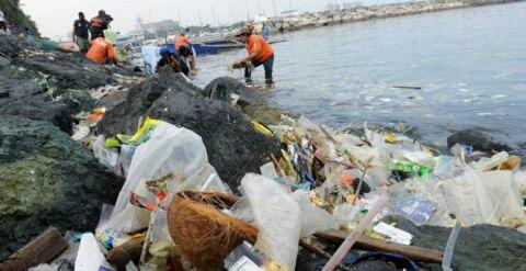 El 80% de aves marinas ha ingerido plástico y 100.000 mamíferos marinos mueren al año por él ow.ly/3zBGeG