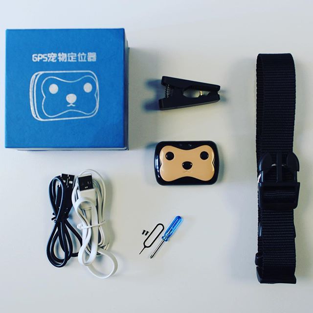 Don’t lose your buddy never!
Can Dostunuzu Asla Kaybetmeyin!

#wikypet #wiky #dog #cat #gps #gsm #hayvantakipcihazı