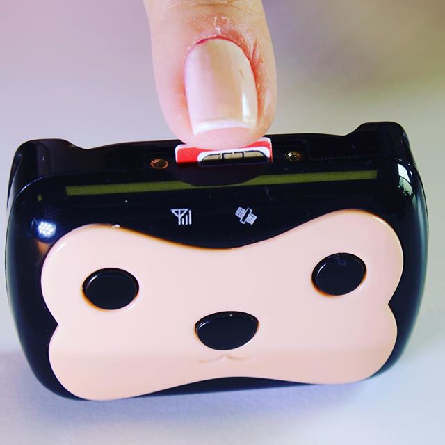 Don’t lose your buddy never!
Can Dostunuzu Asla Kaybetmeyin!

#wikypet #wiky #dog #cat #gps #gsm #hayvantakipcihazı