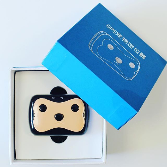 Don’t lose your buddy never!
Can Dostunuzu Asla Kaybetmeyin!

#wikypet #wiky #dog #cat #gps #gsm #hayvantakipcihazı