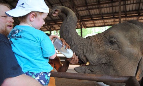 TourPackageSL's tweet photo. 30 Things to do If You Ever Visit Sri Lanka
Feed &amp; Bathe an elephant at Pinnawala.
https://t.co/wrzXELc8EO https://t.co/67767rr9qo