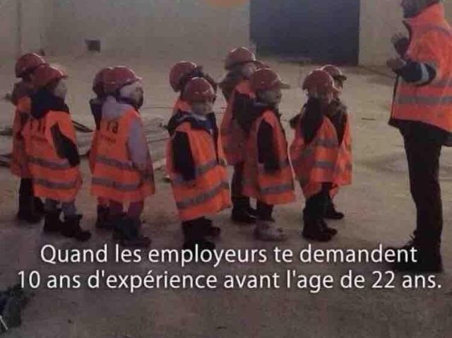 muskalf's tweet photo. Aux âme bien nées... #recherchejob https://t.co/NPDJuOBUuk