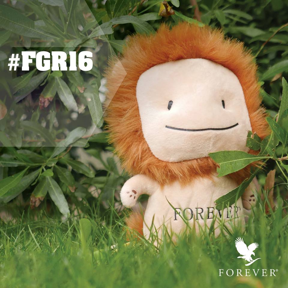RomaniaFLP's tweet photo. Faceti cunostinta cu simpaticul Lion Baby, lansat la #FGR16, un nou sustinator al Fundatiei Forever Giving! https://t.co/FDfmNN4Tin
