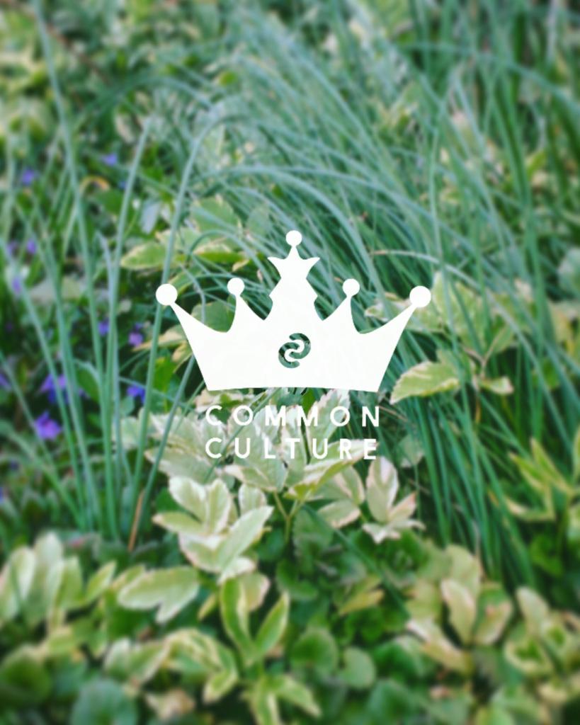 yearningdon's tweet photo. Green meets common culture 

|| @ConnorFranta @commonculture || 

#frantasticmonday https://t.co/Tv11aDsiHI