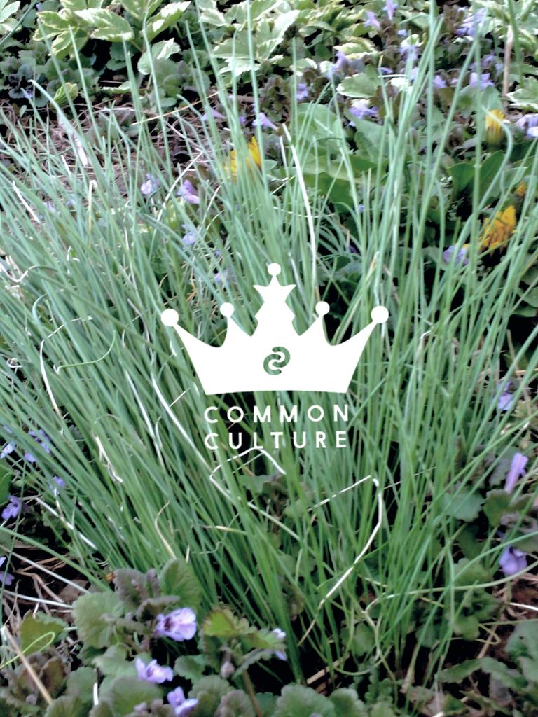 yearningdon's tweet photo. Green meets common culture 

|| @ConnorFranta @commonculture || 

#frantasticmonday https://t.co/Tv11aDsiHI