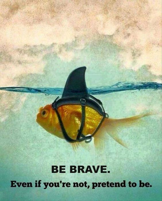 HelloBraveUK's tweet image. Take the plunge and get in touch with us today: ow.ly/4mNQGz We'll be BRAVE for you! #webdesign #SEO