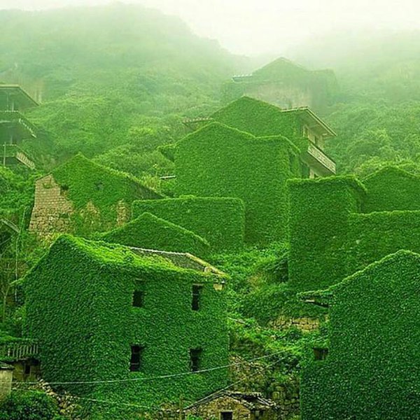 Architectcouk tweet picture