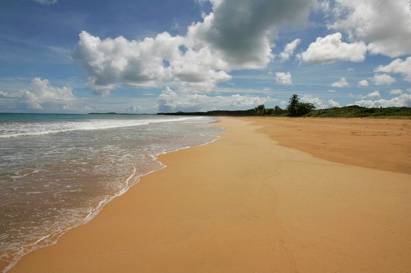 Didier_Moise's tweet photo. #GrassRoots Fight To Protect #PuertoRico Coast Scores #EnvironmentalPrize https://t.co/rO5qjUDEmC @NPR https://t.co/GLnVTFaPoG