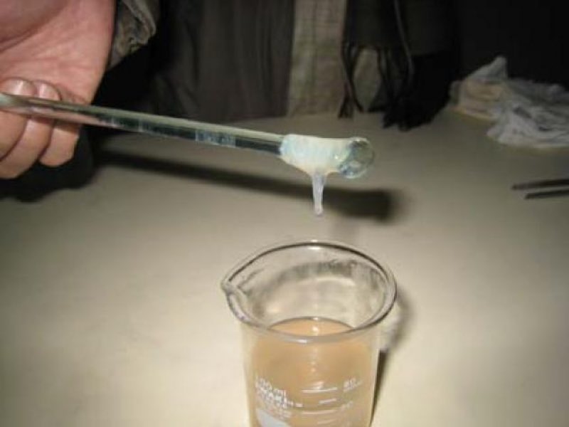 Pollock_Fish's tweet photo. #CummingsWeek13 onion DNA is just as slimy as I imagined it https://t.co/79L5qGecXw
