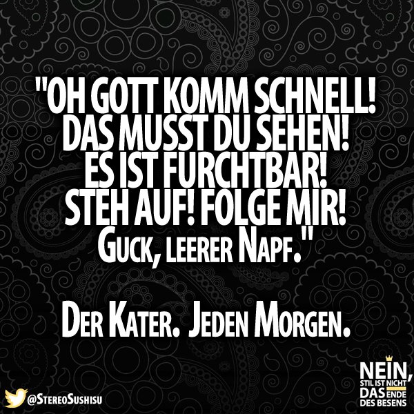 Besenstilvoll Das Leben Mit Katzen D Katzen Liebe Tiere Haustiere Spruche Lustig Lachen Besenstilvoll