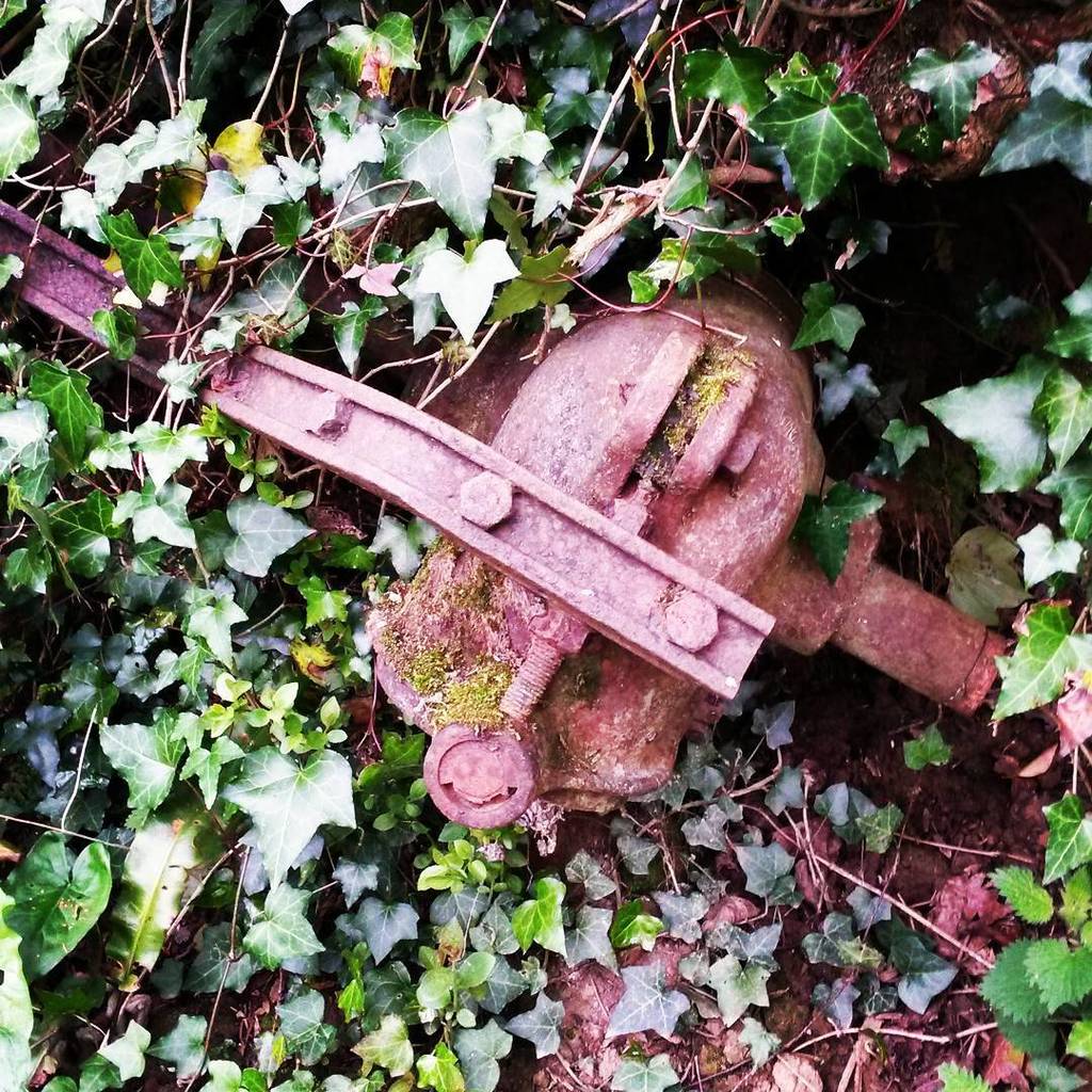 Otherbots's tweet image. Pretty sure it's a robot #robot #rustyrobot #robothead #retrofuture #reclaimedbynature by fluffybunyip