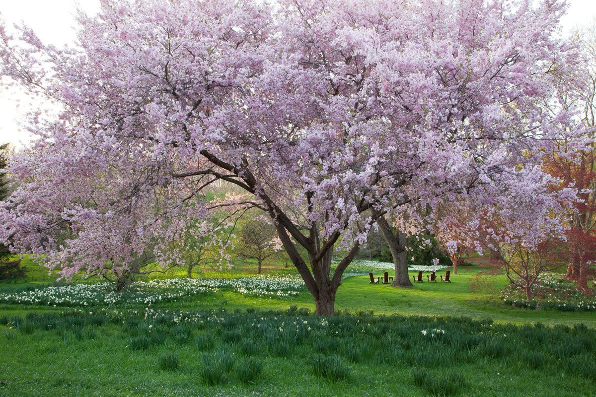 visitbrandywine's tweet photo. Its a BEAUTIFUL day in #Brandywinevalley! We hope you are able to get out and enjoy it :) #ChesterCounty #PASpring https://t.co/nNMEI0zuG1