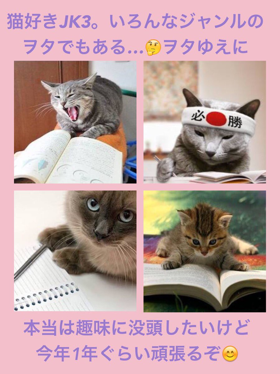 miru_ukr35's tweet photo. タグやるよ😊

#勉強垢さんと繋がりたい
#RTした人全員フォローする 

💜 新JK3😝
💛立命館めざす💪
💜得意教科   英語
💛苦手教科   数学
💜自称進学校の文系
💛銀魂のエリザベスでよく
    日本史マンガ描きます 笑 https://t.co/Ry1nFJGWrj