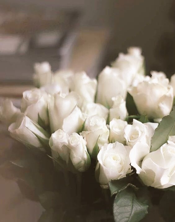 MagyButerfly's tweet photo. Amix hermosa @normasky Feliz Cumple 🎉🎊🎂🎁🎉🎊 https://t.co/1NK9YtiozX