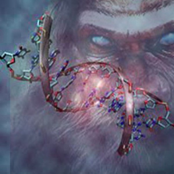 CryPtoReports's tweet photo. Can Bigfoot DNA Prove the Cryptids Existence - https://t.co/e30q3mSmoW #bigfoot #sasquatch #cryptids https://t.co/QWnDqIAcN8