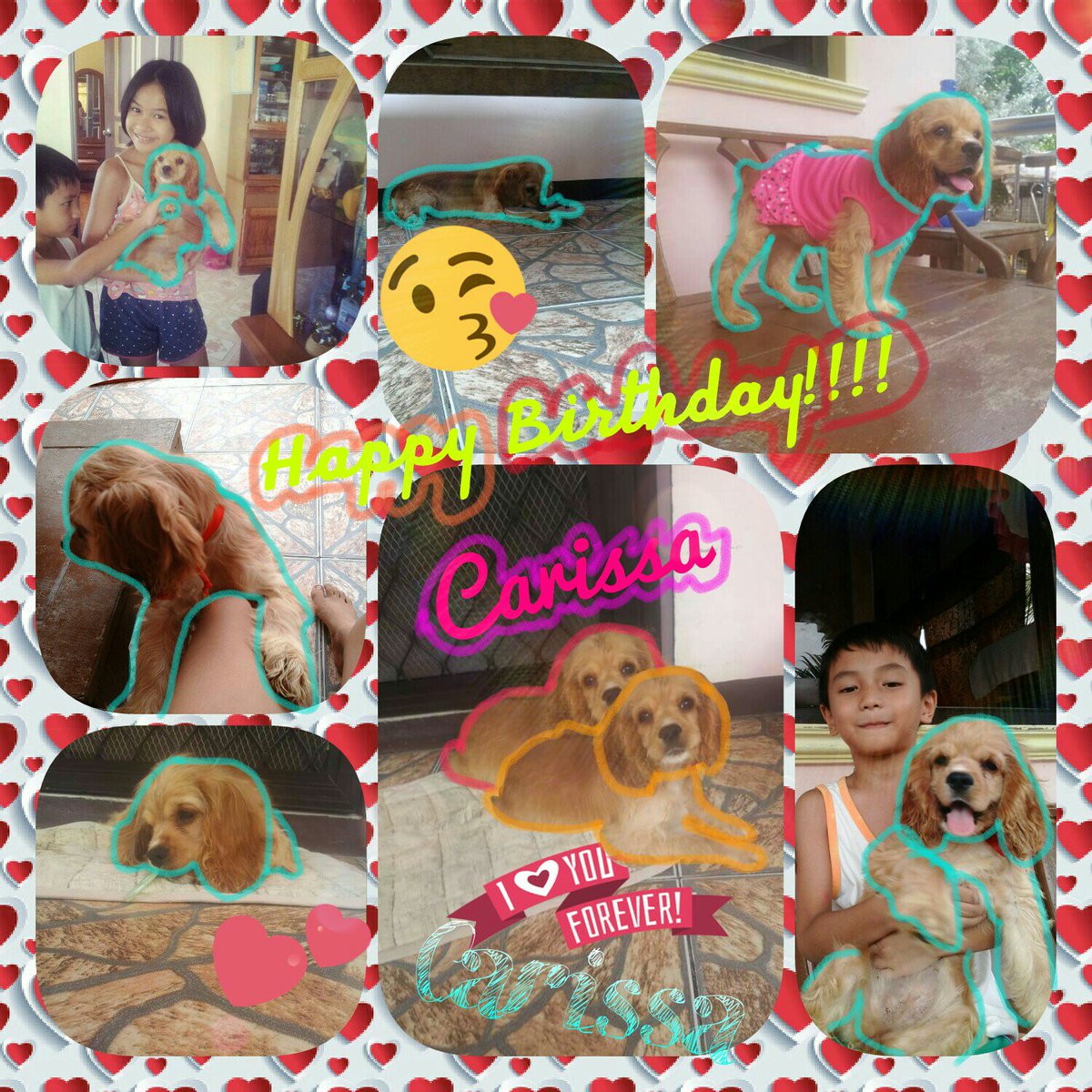 Louise_Caake's tweet photo. Happy 5 Months Baby Carissa!!❤💞💋
We'll celebrate your birthday VERY soon💕💋
WLYSM Baby Carissa!!❤💕💋💞 https://t.co/t6SFGz603K