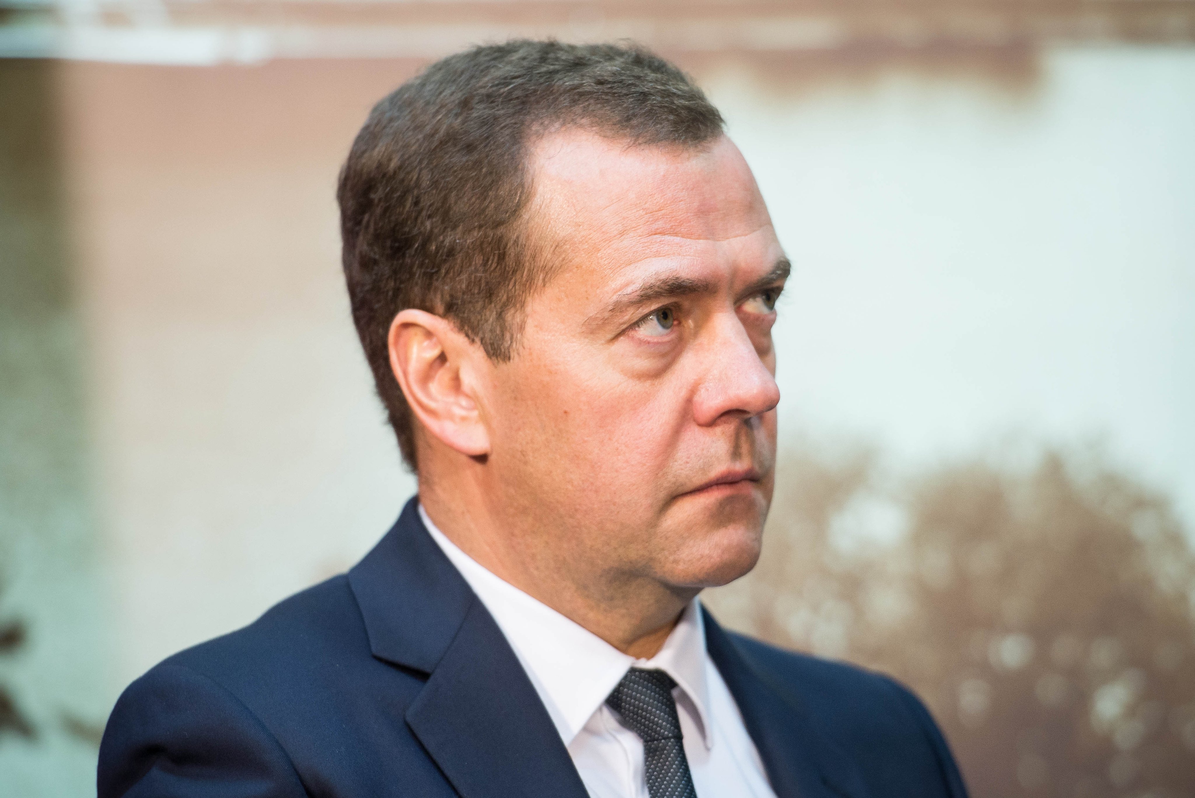 Медведев Дмитрий Анатольевич в профиль