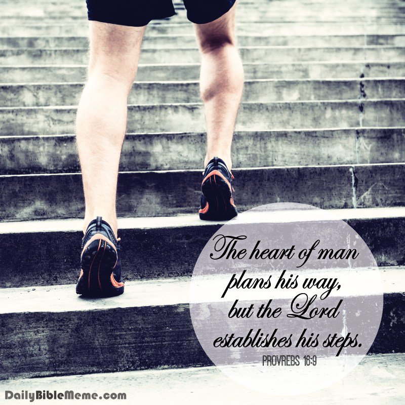 DailyBibleMeme's tweet photo. #Proverbs 16:9 - https://t.co/xdCFAwrT7I #Bible #ButTheLordEstablishesHisSteps #Daily #Dailybiblememe https://t.co/24XuSHzPra