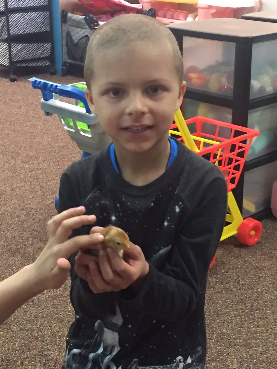 LinzkMrs's tweet image. Thanks for sharing your chicks with us Griffin!!! @CSEROCORI #csestrong #cse2028