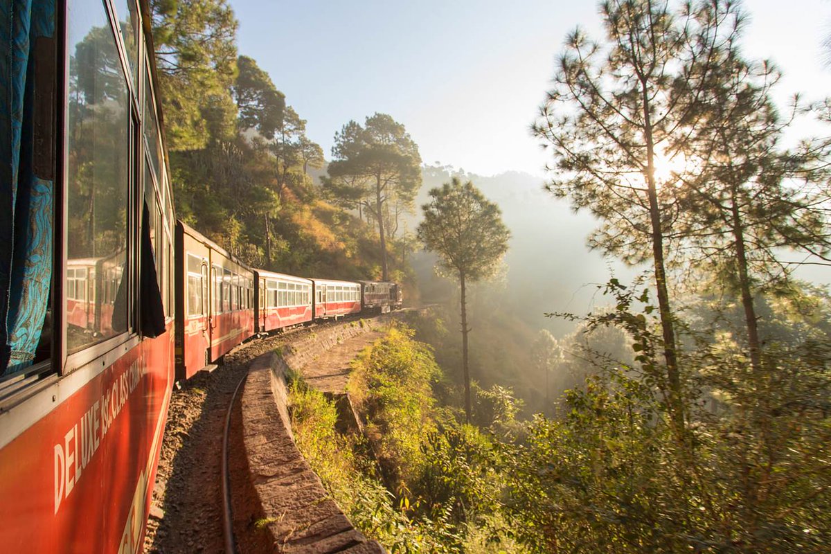 lonelyplanet's tweet photo. Step into the real life Jungle Book + take a walk on #India's wild side: https://t.co/kjqdJekJjR #travel #lp https://t.co/KVRwm2Vleh