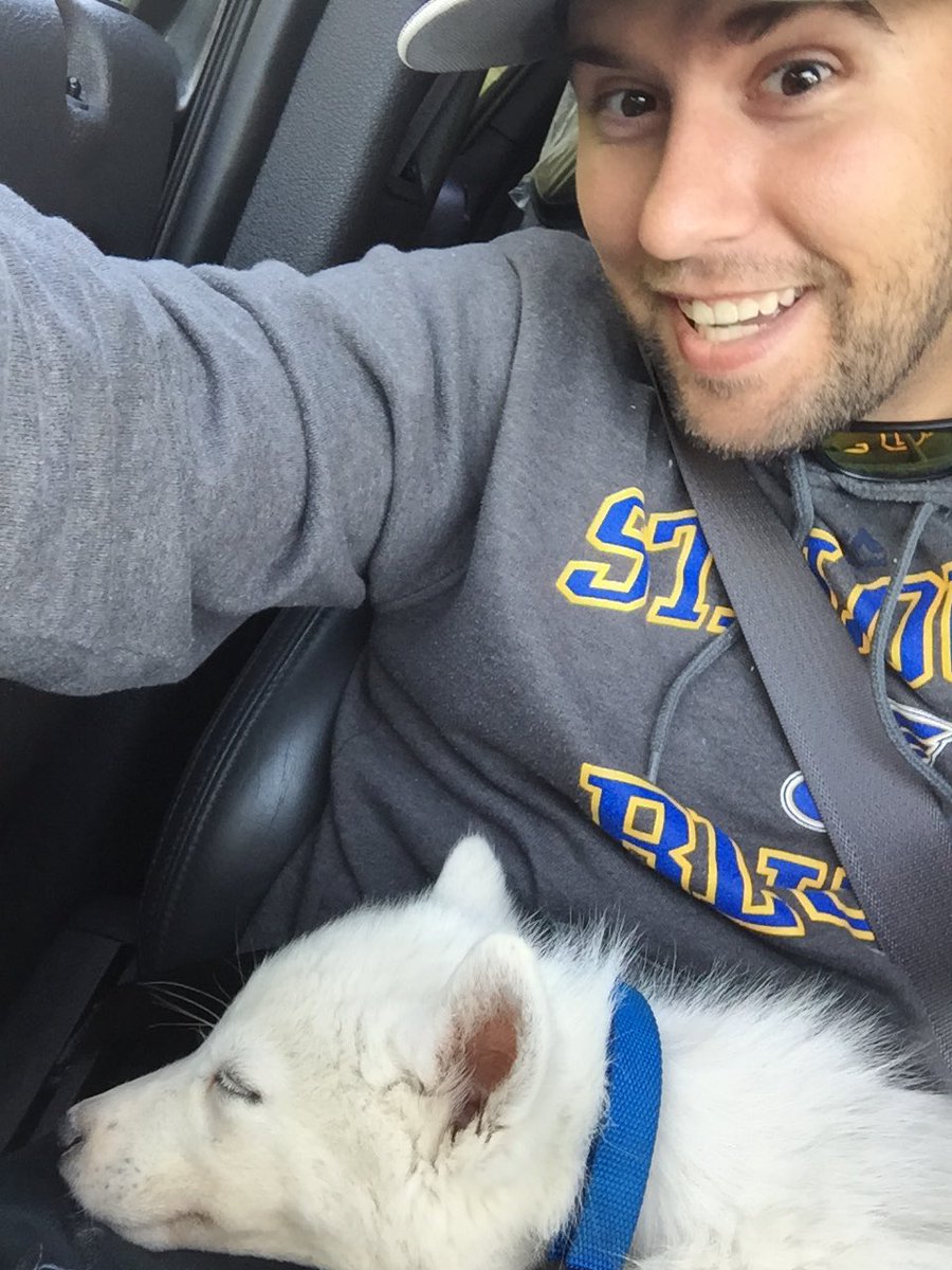 11Derry's tweet photo. New puppy!!!!! https://t.co/CBwKpoRZSl