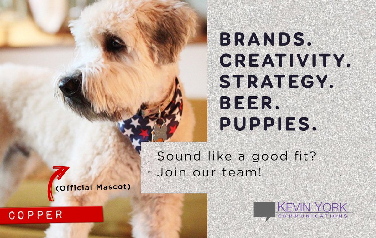 Kevin York Comms tweet media