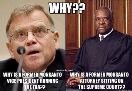 Fight Against GMOs (@say_no_gmo) on Twitter photo 